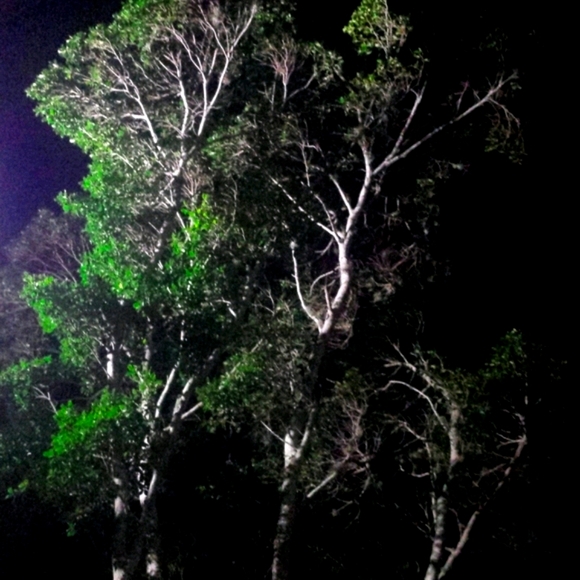 FREE GOODIE WITH EVERY PURCHASE! - Picture 10 of 12